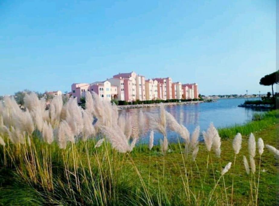 Residence Pointe Vermeille - Charmant Studio Cabine Avec Jolie Vue Sur Le Lac Marin 르발카레스 외부 사진